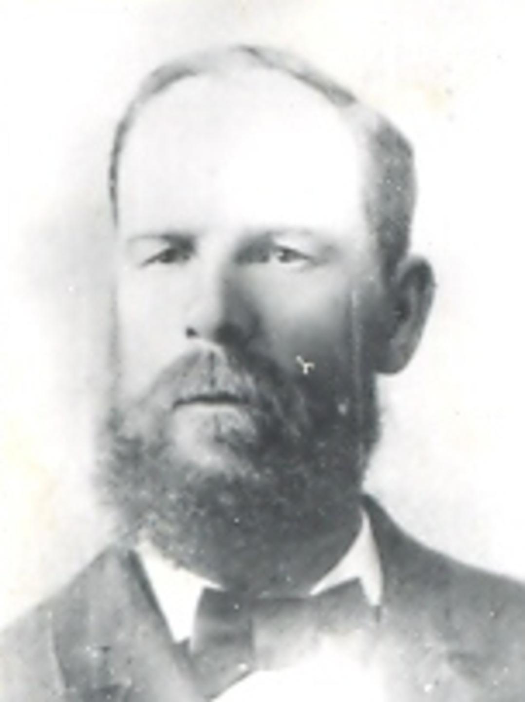 David Cook (1847 - 1920) Profile